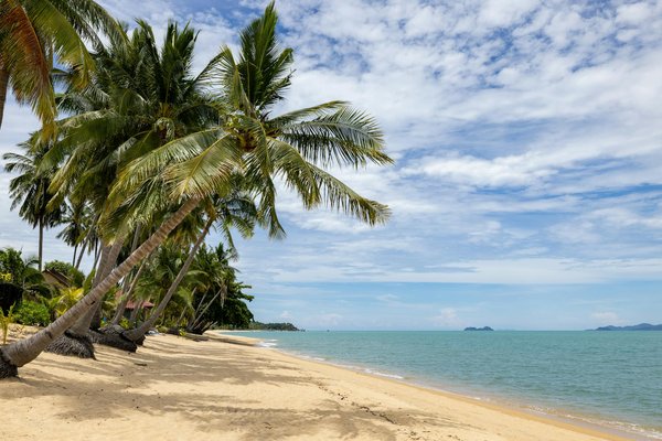 Guide du parfait voyageur : comment choisir sa destination de voyage ?